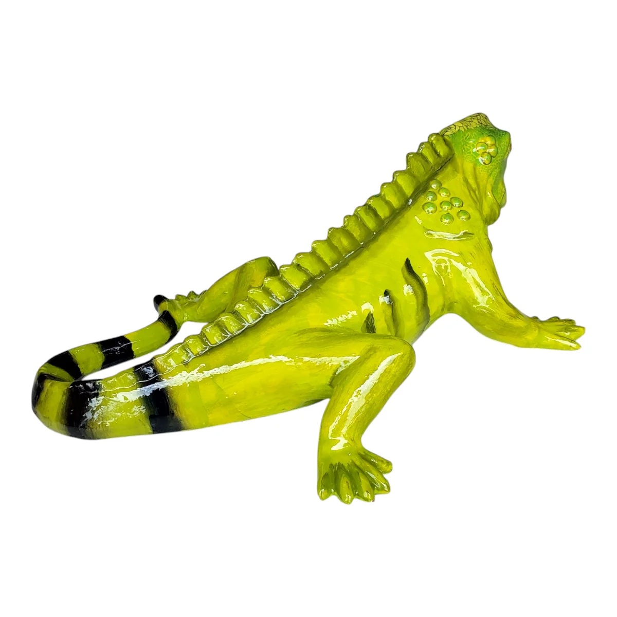 Iguana Grande Pintada Verde